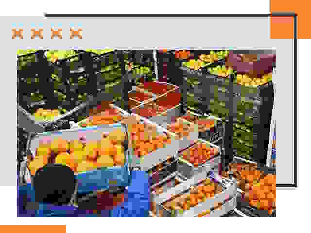 Перевозка скоропортящихся продуктов в Пыть-яхе
